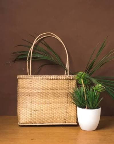 Bamboo